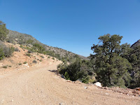 2011_05_CORE_Bar10_007.jpg Photo