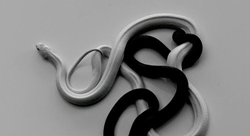 [lexus%2520illuminati%25202%255B4%255D.jpg]