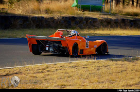 1984 Tiga Sports 2000