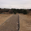 dsc05315.jpg