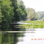 DSCN8263.JPG