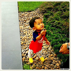 พู่กันสนุกสนานพ่อพาเดินที่สวนจตุจักร