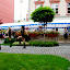IMGP8806_resize.jpg