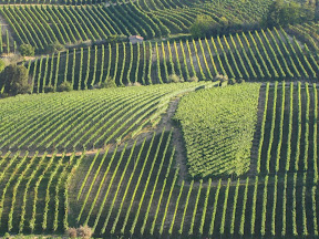 travel to Piedmont