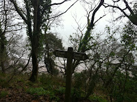 Woods between Minehead and Greenaleigh Photo Woods between Minehead and Greenaleigh Photo