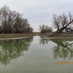 IMG_1534.JPG