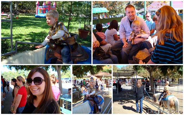 Irvine Ranch Pumpkin Patch 10-9-13