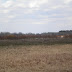 Spring%252520126