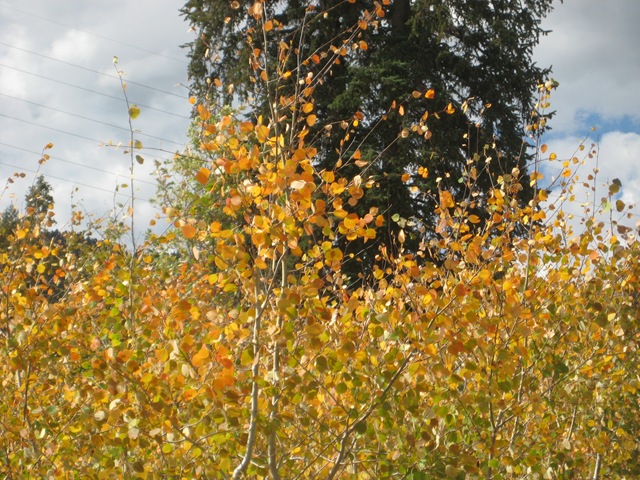 [IMG_7852%255B3%255D.jpg]