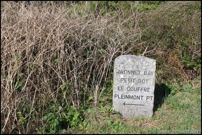 A coastal walk in Guernsey (14)