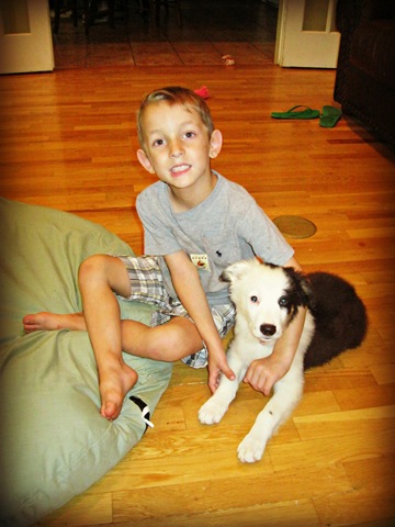 [Puppy%2520009%255B3%255D.jpg]