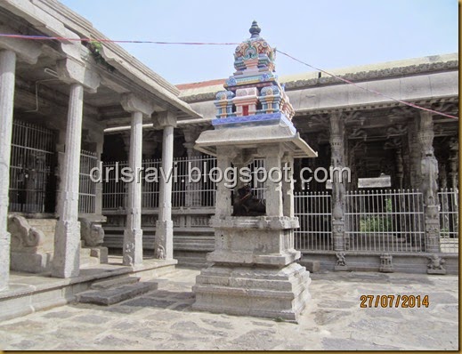 IMG_0048 IMG_0048