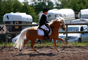 Framridning i Norrköping 5 juni Framridning i Norrköping 5 juni