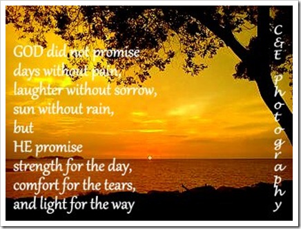 God promise