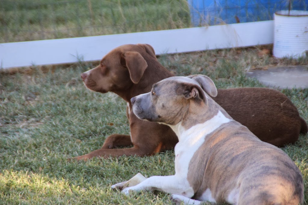 [IMG_1098%255B4%255D.jpg]