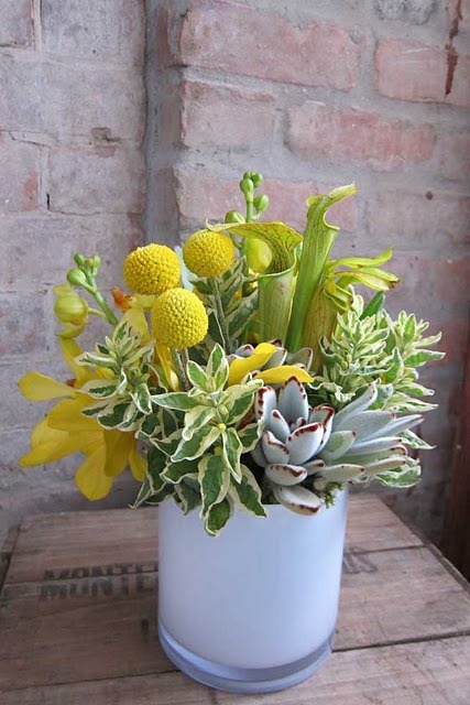 [IMG_1478-little-pheasant5.jpg]