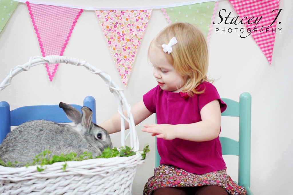 [bunny%2520003%2520copy%255B4%255D.jpg]