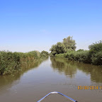 IMG_5749.JPG