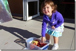 IMG_6473 IMG_6473