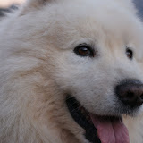 DSC01167.JPG
