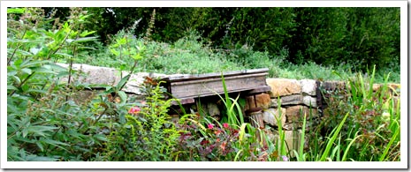 Tendenze Design - Pottersville, New Jersey - Andrea Filippone and William Welch Architects - garden photo by Mary Jasch