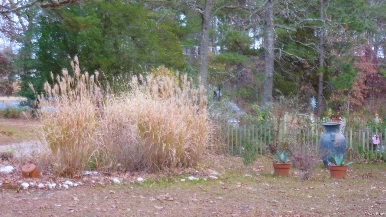 [NC%2520dells_043%255B9%255D.jpg]