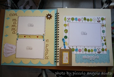 IMG_3646 IMG_3646