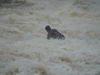 4.01.2012. Palmbeach