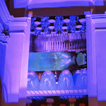 IMG_4319.jpg