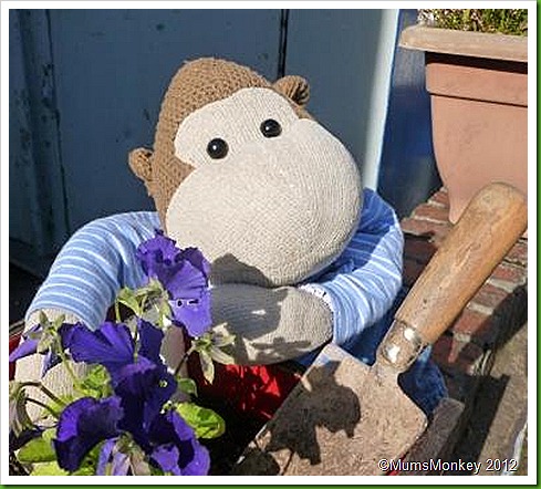 Gardeners World Gardeners World