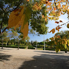 Parque Eduardo VII