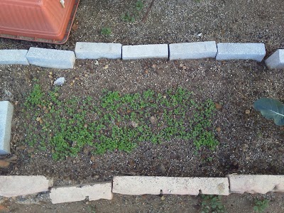 2013-12-07 07.54.46.jpg