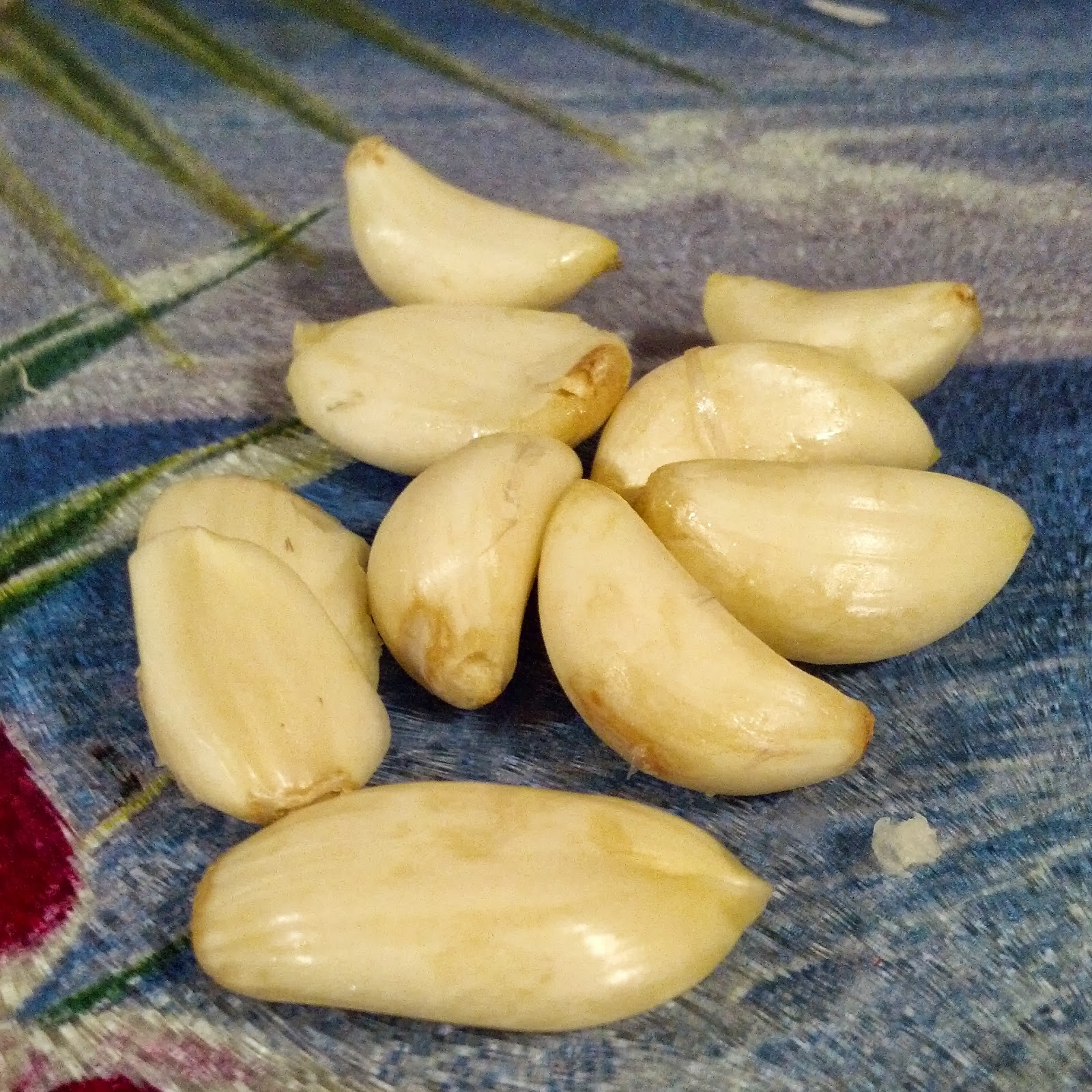 An Onion Exposed: Peel Garlic in Seconds!