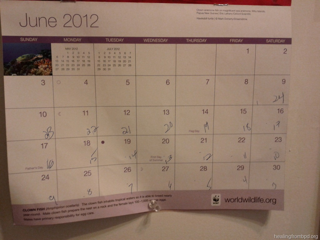 [BPD%2520Identity%2520Disturbance%2520Calendar%255B7%255D.jpg]