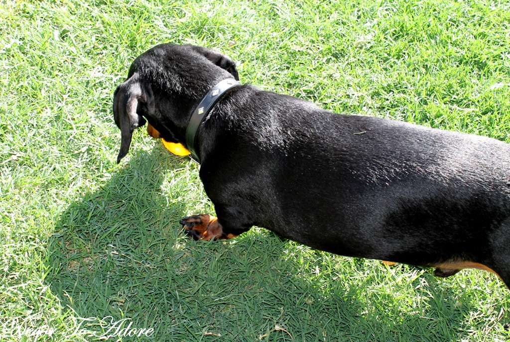 [easter%2520028%255B3%255D.jpg]