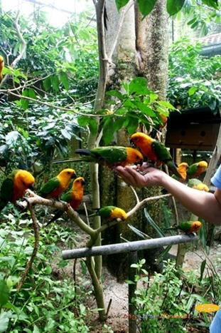 Langkawi Wildlife Park Langkawi Wildlife Park