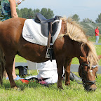 60D_00618.jpg