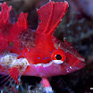 SDIMG_2938-Edit-final.jpg