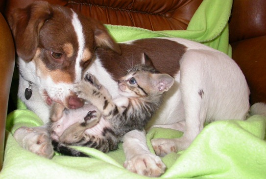 [DSCN5132%255B10%255D.jpg]