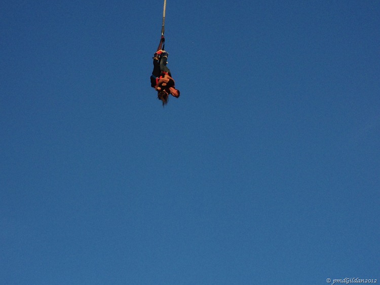 [Le-grand-saut12.jpg]