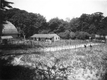 clip_image325 clip_image325