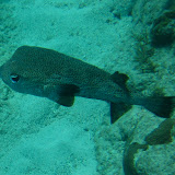 IMG_1563.JPG