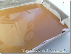 dark chocolate salted caramels - The Backyard Farmwife