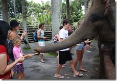 IMG_1864 IMG_1864