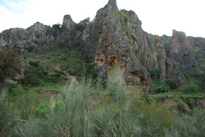DSC_6003.JPG