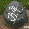 dsc00954.jpg