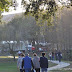 DSC_0110 (725x510).jpg