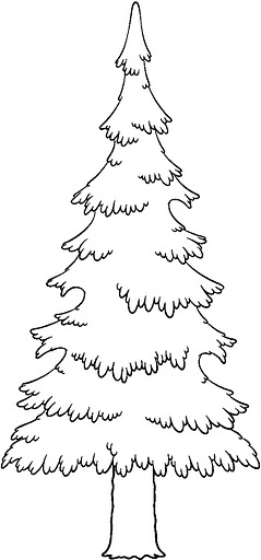 Pine Forest Coloring Pages Pine Forest Coloring Pages
