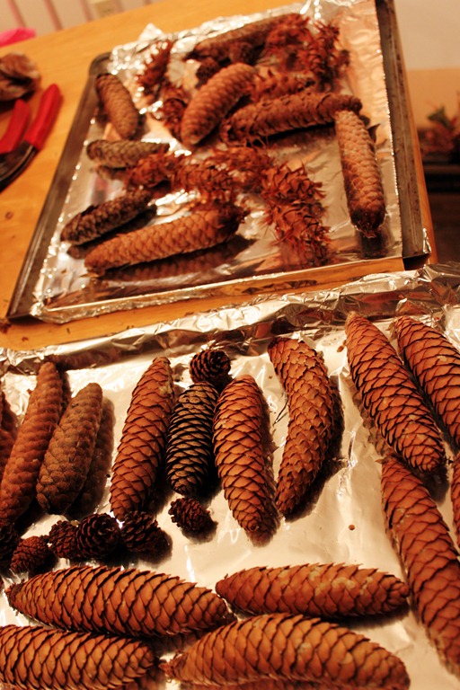 [pin2011_11_30_30693.jpg]