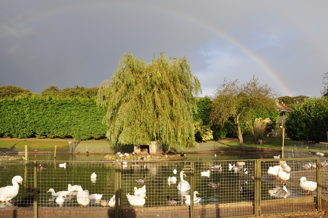 [DSC_0277%255B5%255D.jpg]